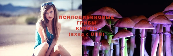 бошки Алексеевка
