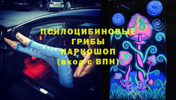 бошки Алексеевка
