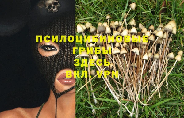 бошки Алексеевка